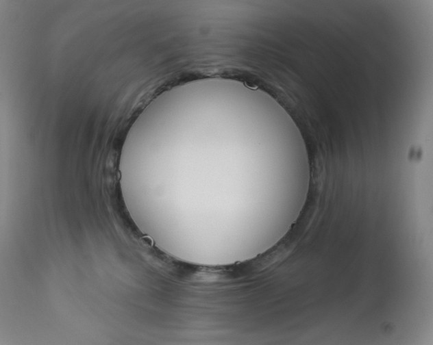 X0000112860280200909041600