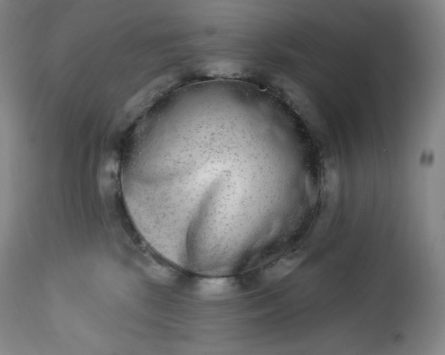 X0000112860281200909041601