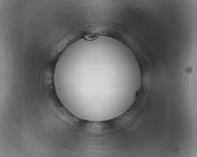 X0000112860282200909041601