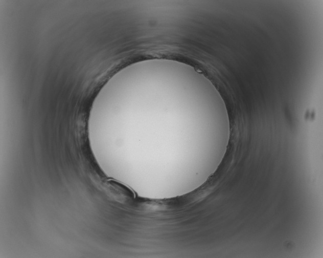 X0000112860284200909041601