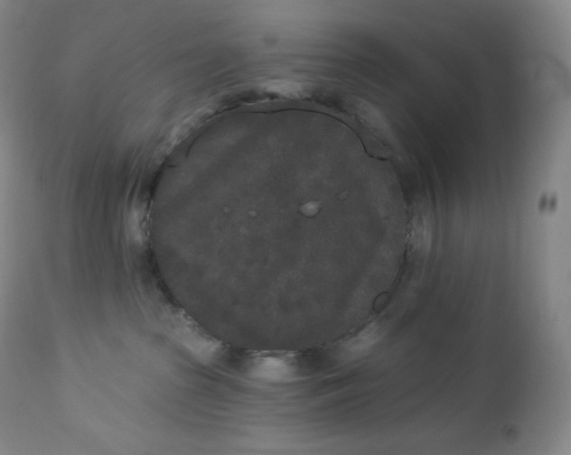 X0000112860285200909041601