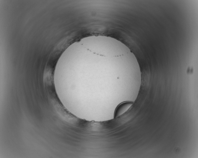 X0000112860287200909041601