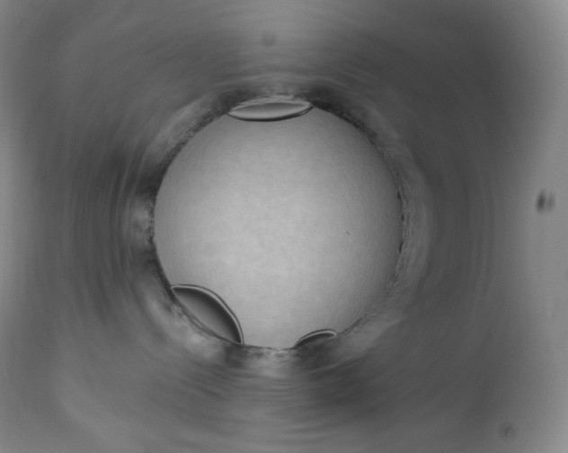 X0000112860288200909041601