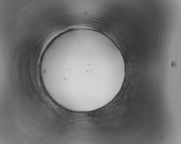 X0000112860289200909041600