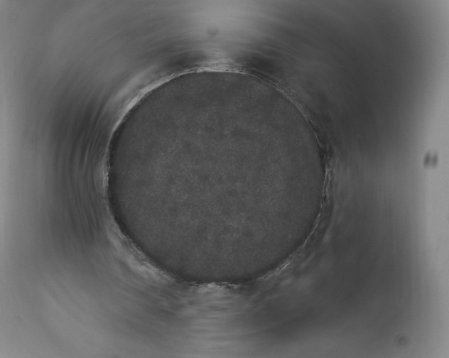 X0000112860290200909041600