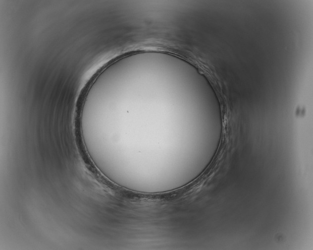 X0000112860292200909041600