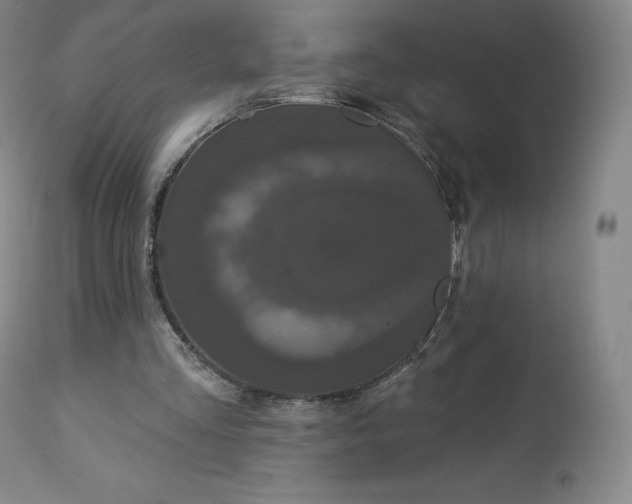 X0000112860293200909041600