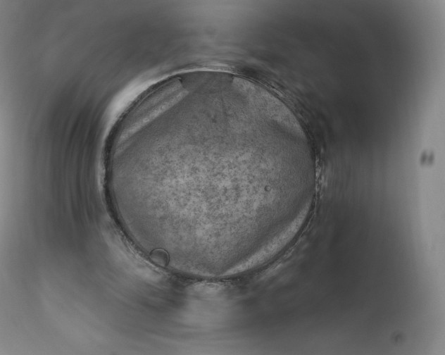 X0000112860294200909041600