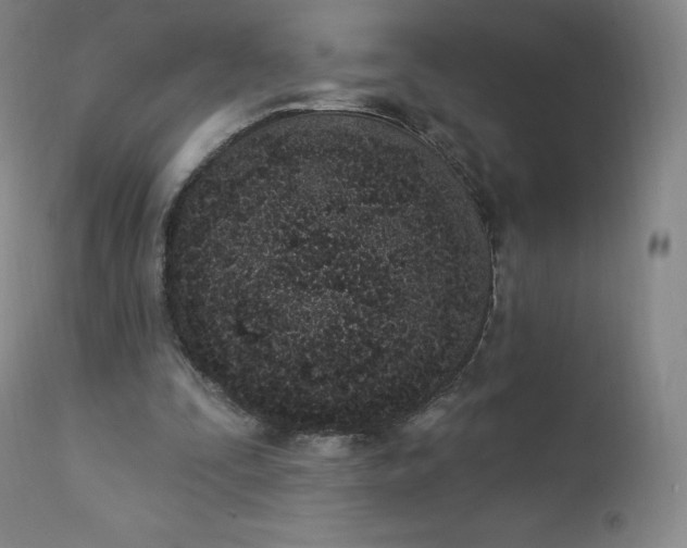 X0000112860295200909041600