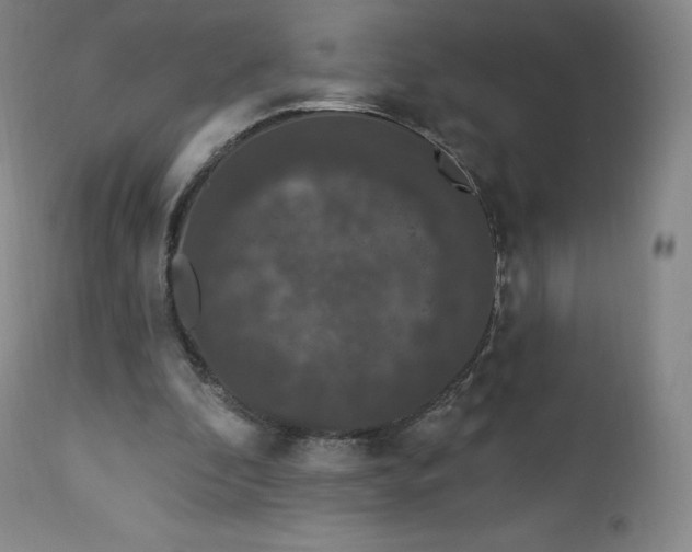 X0000112860296200909041600