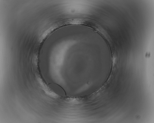 X0000112860297200909041600