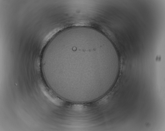 X0000112860298200909041600