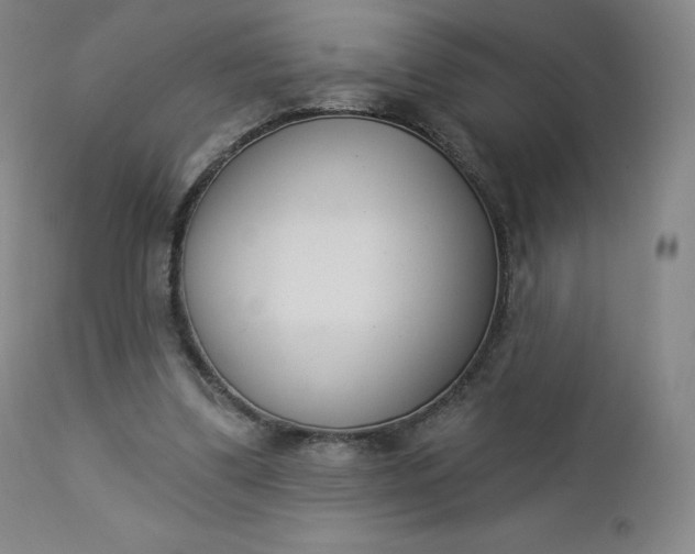 X0000112860299200909041600