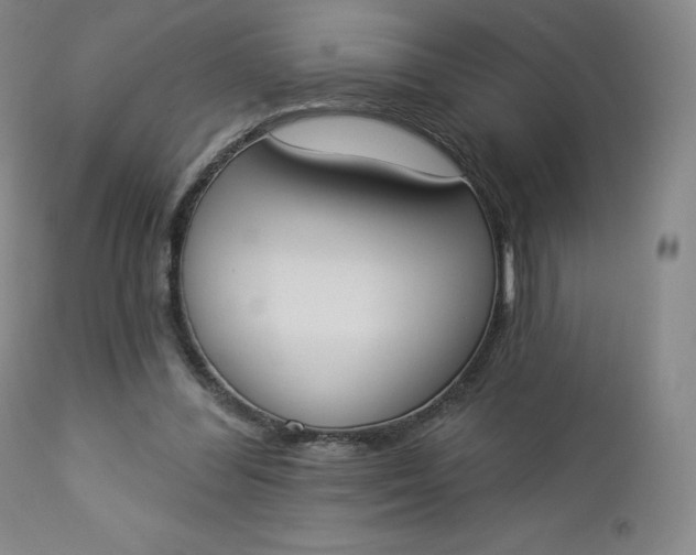 X0000112860300200909041600