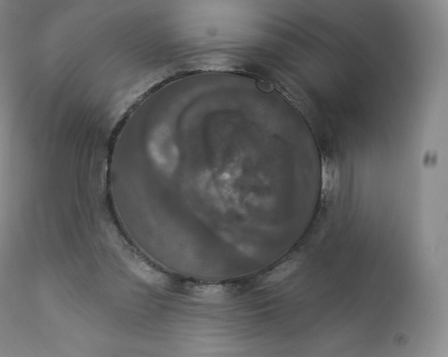 X0000112860301200909041600