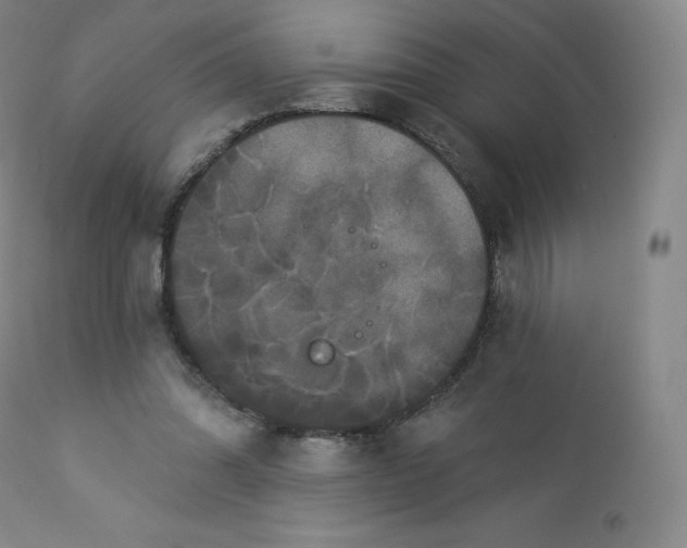 X0000112860302200909041600