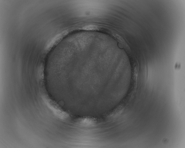 X0000112860303200909041600