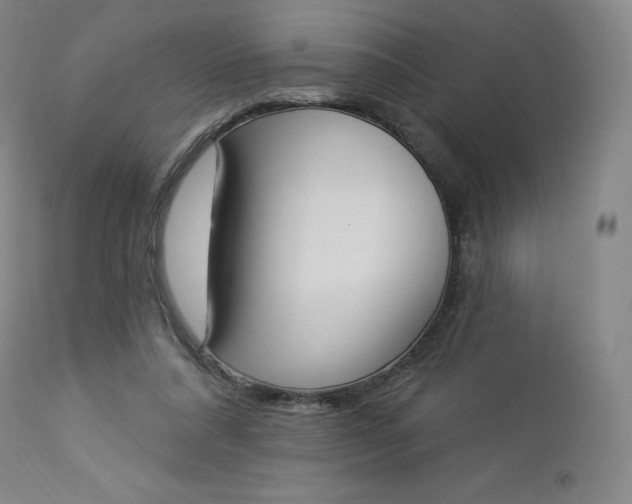 X0000112860304200909041600