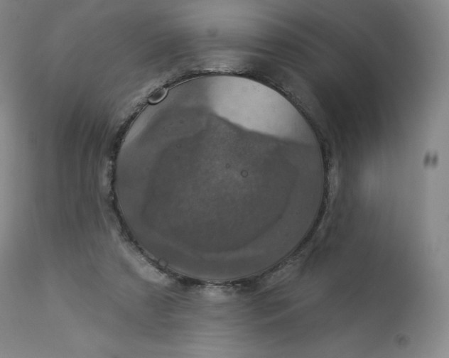 X0000112860305200909041600