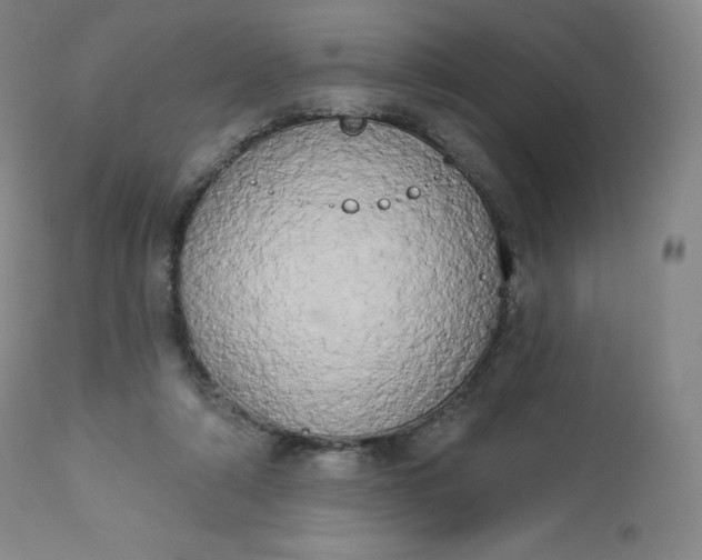 X0000112860306200909041600