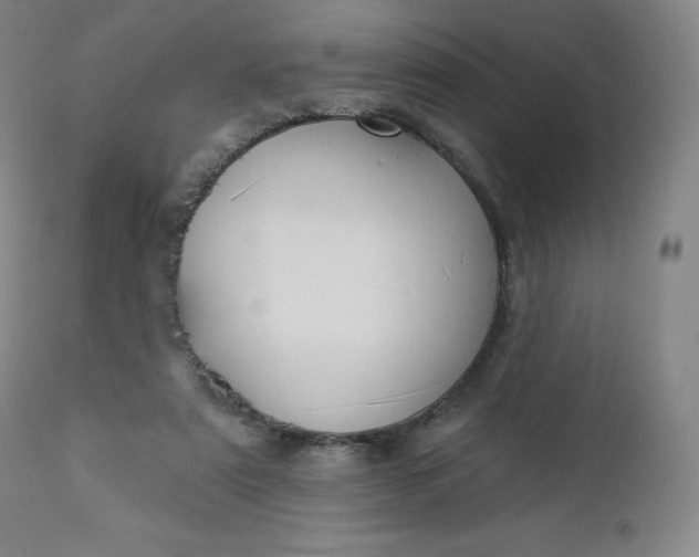 X0000112860307200909041600