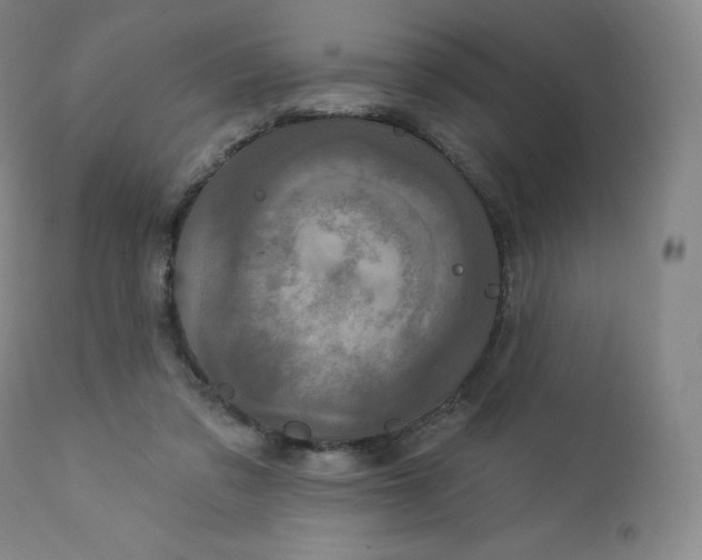 X0000112860309200909041600