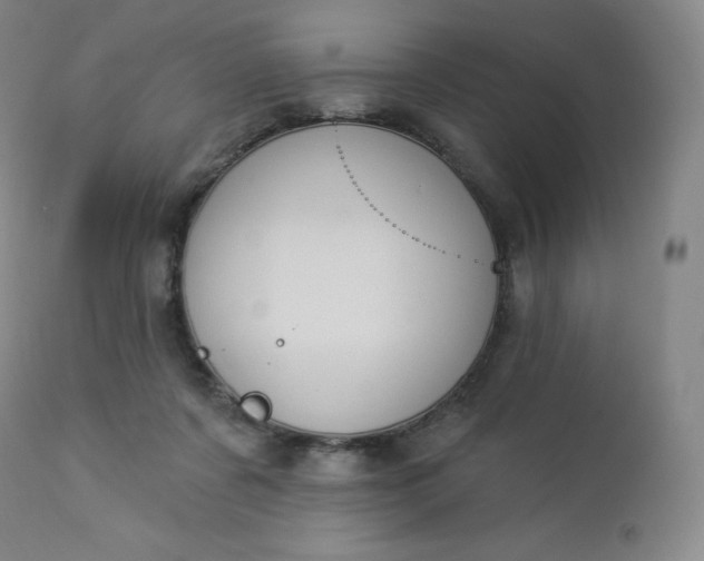 X0000112860311200909041600