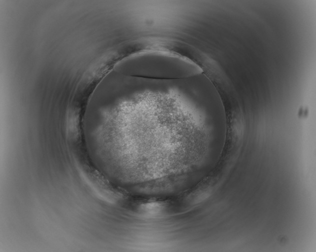 X0000112860312200909041600