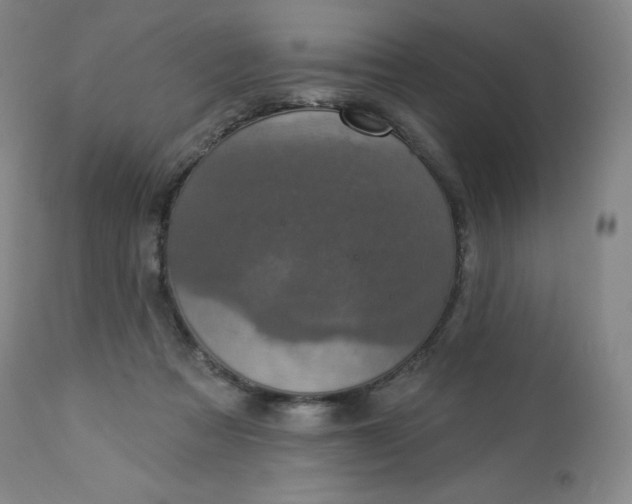 X0000112860313200909041600