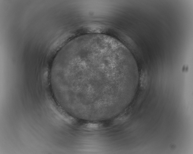 X0000112860314200909041559