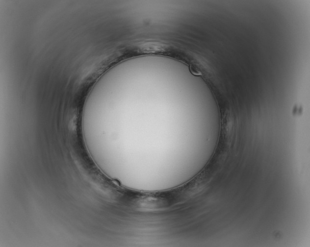 X0000112860315200909041559