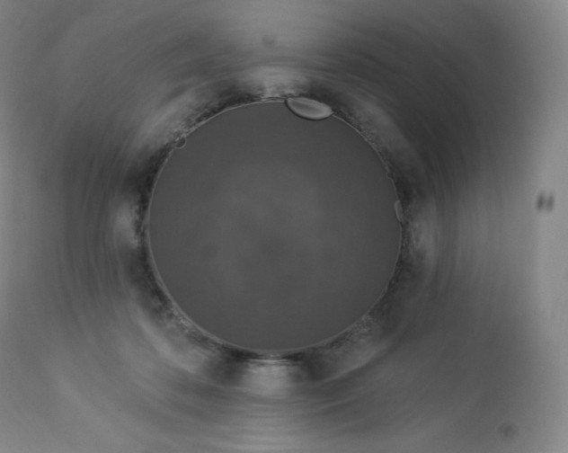 X0000112860316200909041559