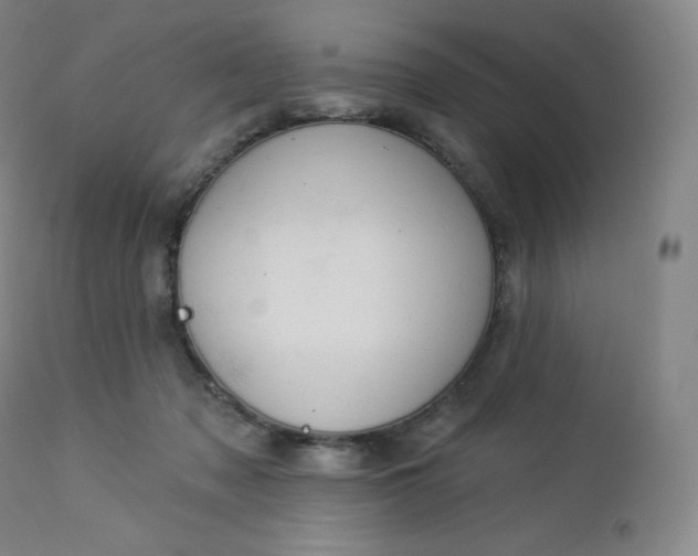 X0000112860317200909041559