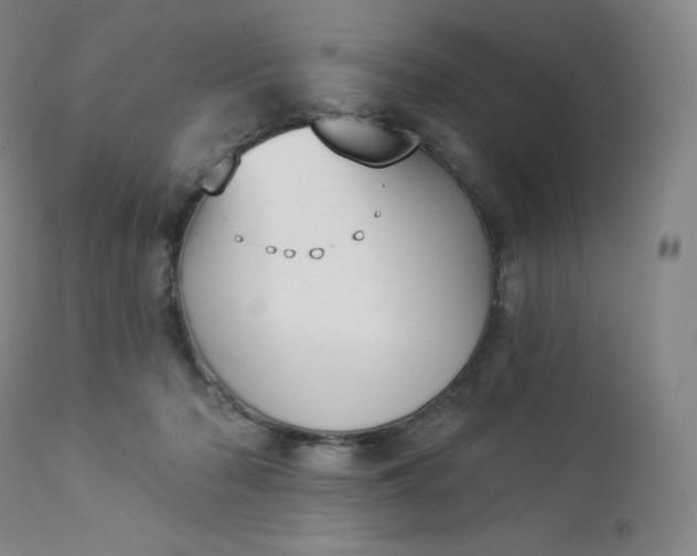 X0000112860318200909041559