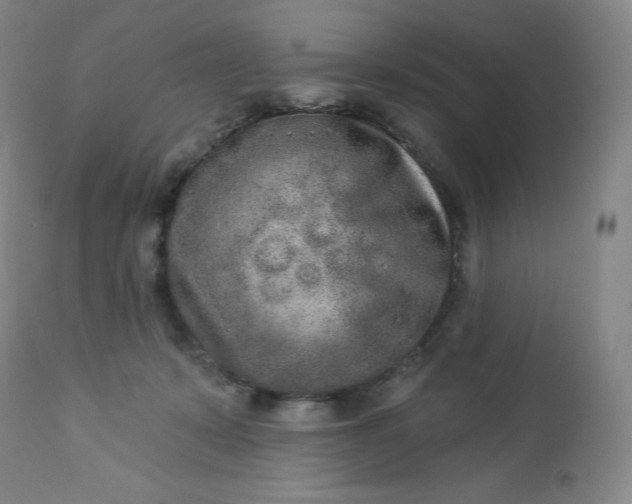 X0000112860319200909041559