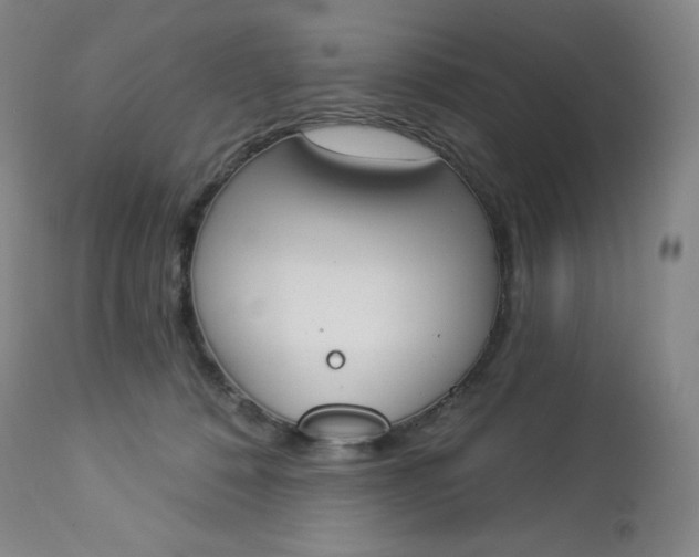 X0000112860320200909041559