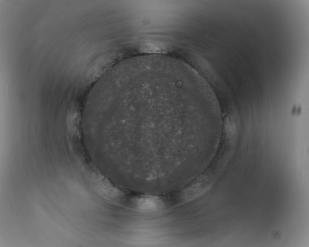 X0000112860322200909041559