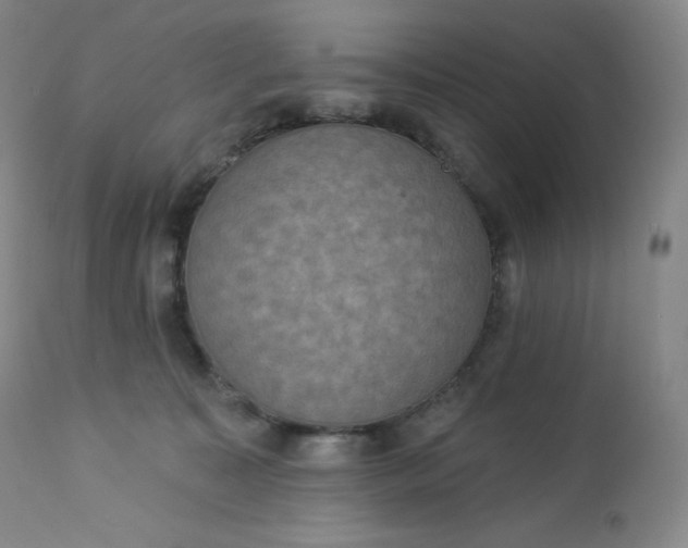 X0000112860323200909041559