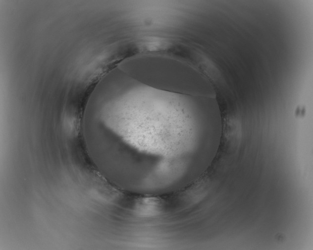 X0000112860324200909041559