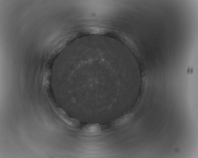 X0000112860325200909041559