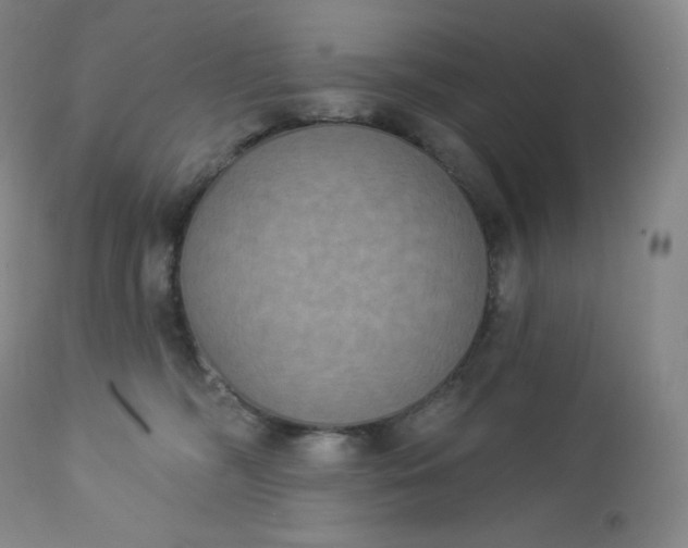 X0000112860326200909041559