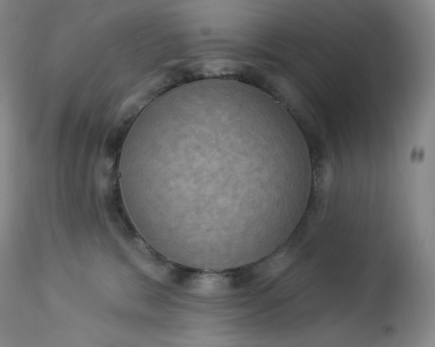 X0000112860327200909041559