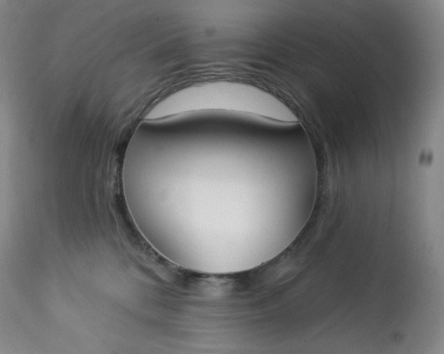 X0000112860328200909041559