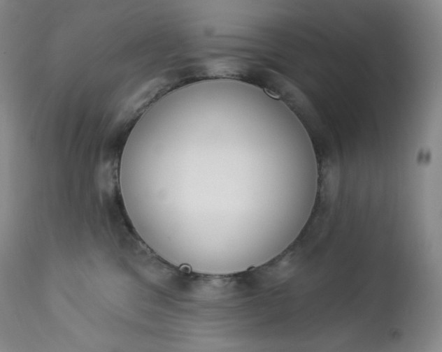 X0000112860329200909041559