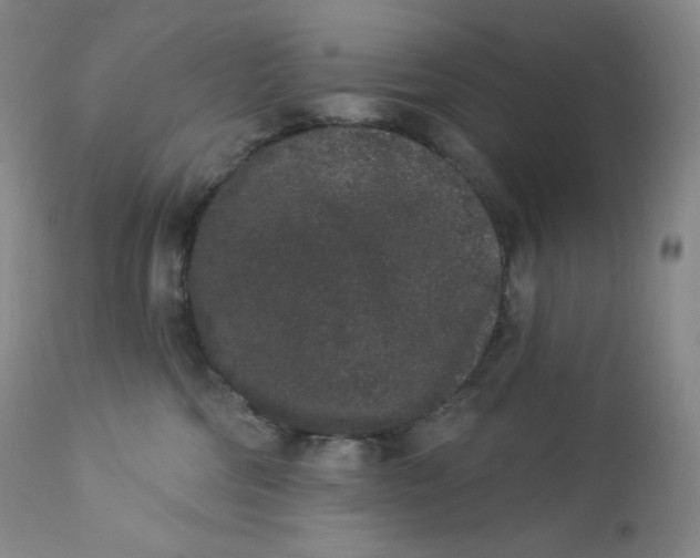 X0000112860330200909041559