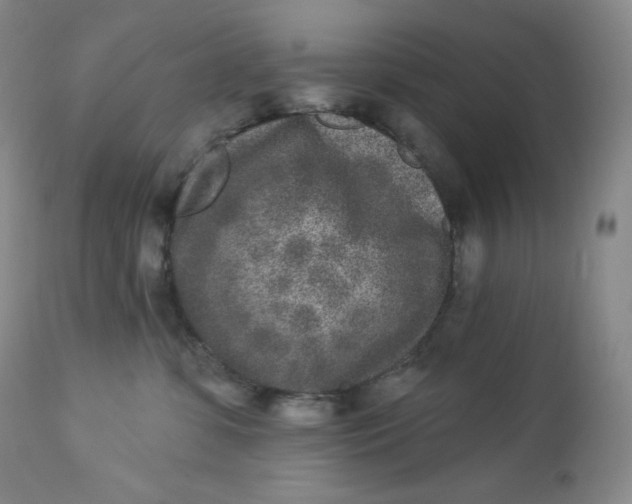 X0000112860331200909041559