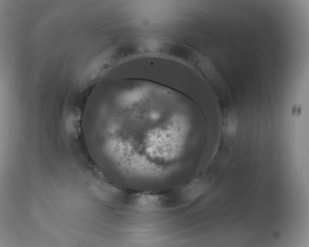 X0000112860332200909041559