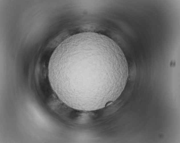 X0000112860334200909041559