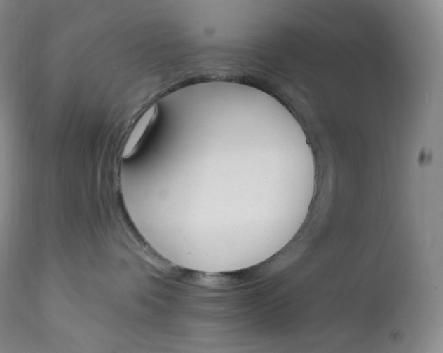 X0000112860336200909041559