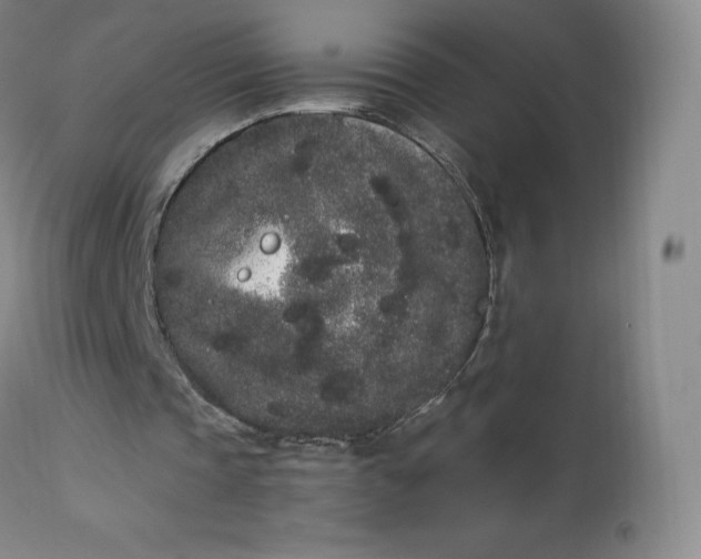 X0000112860337200909041558